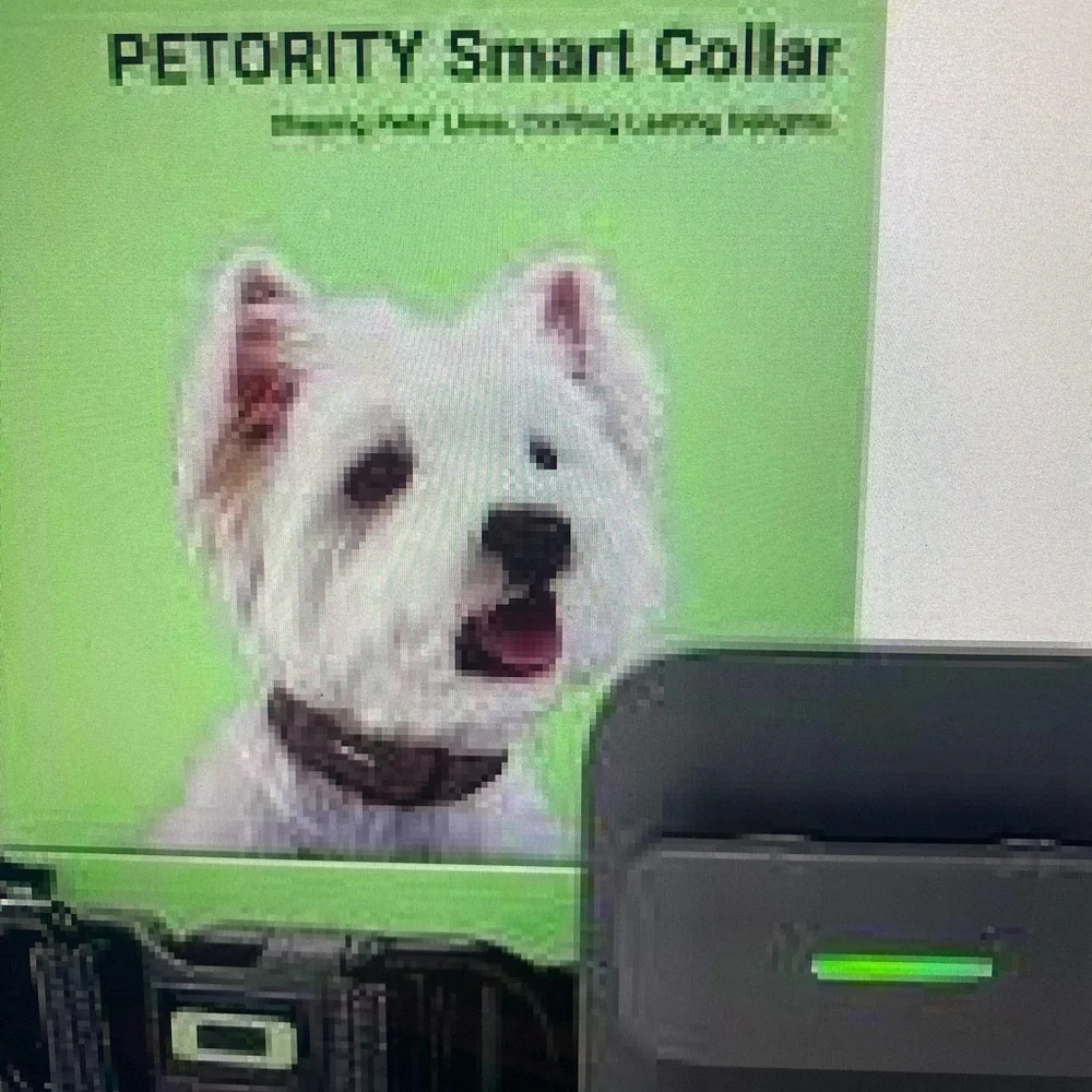 New In Box Petority Space Gray Large Smart Collar